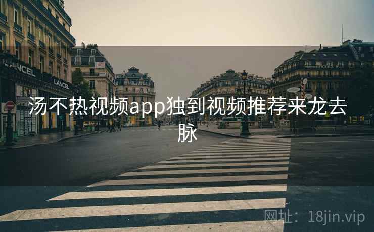 汤不热视频app独到视频推荐来龙去脉