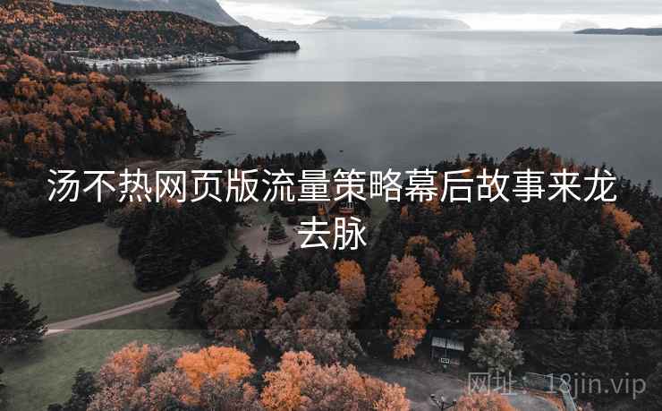 汤不热网页版流量策略幕后故事来龙去脉