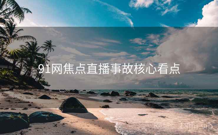 91网焦点直播事故核心看点