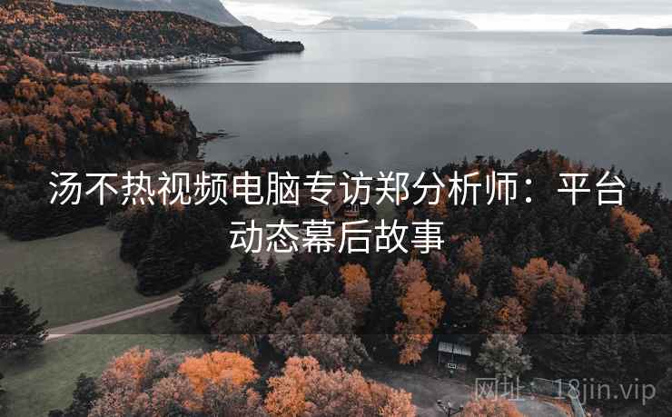 汤不热视频电脑专访郑分析师：平台动态幕后故事