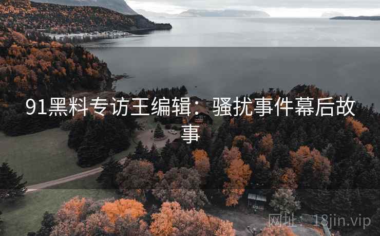 91黑料专访王编辑：骚扰事件幕后故事